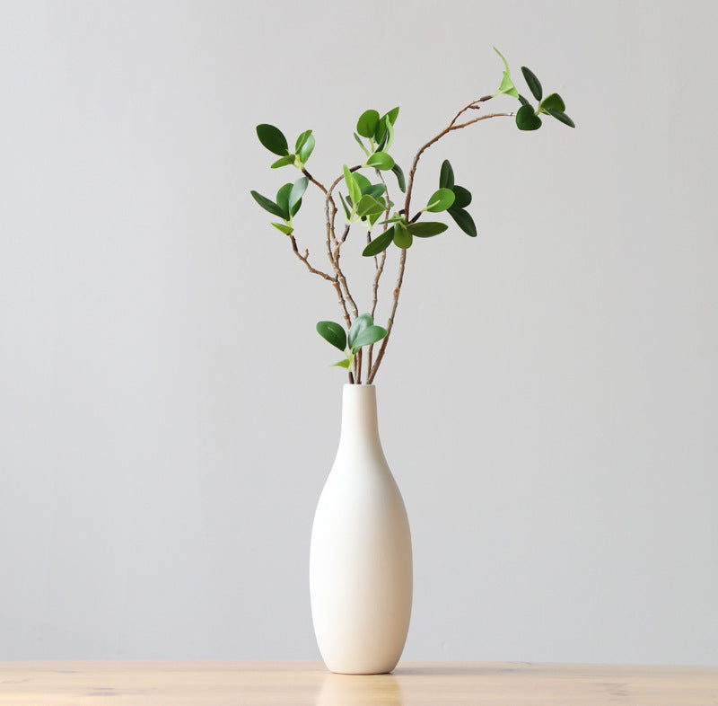 Pure Essence: Modern Minimalist Vase